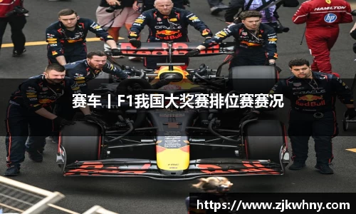 赛车丨F1我国大奖赛排位赛赛况